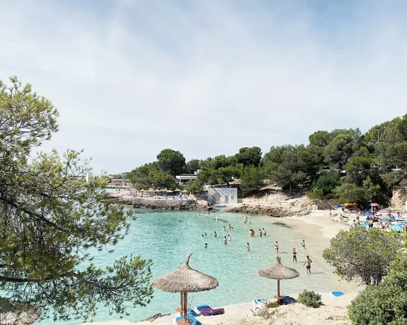Beach Guide: Cala Comtessa – Palma Bay’s Pine-Shaded Pocket of Calm