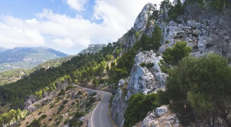 Mallorca Training Camps & Pro-Level Cycling: Dates, Bases & Weekly Plans