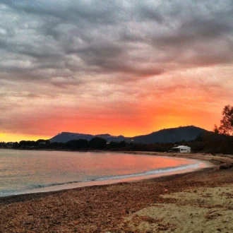 Pine-framed coastline and rocky swim platform at Costa dels Pins, Mallorca