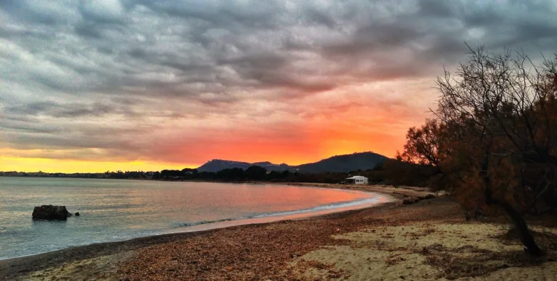 Guide to Costa dels Pins, Mallorca