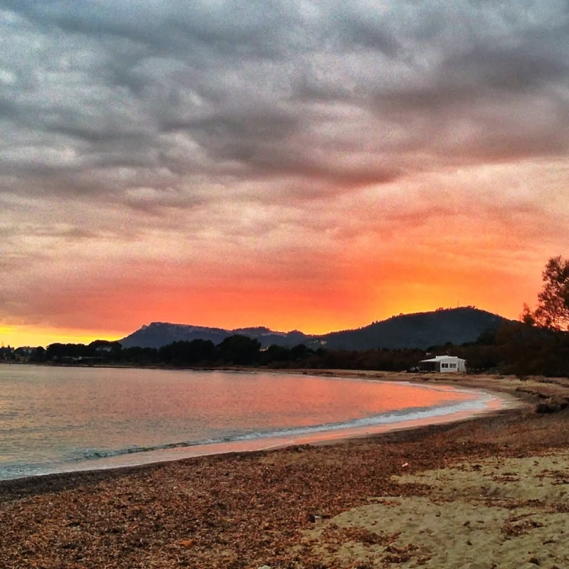 Pine-framed coastline and rocky swim platform at Costa dels Pins, Mallorca
