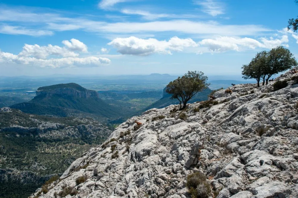 Hiking in Mallorca from Palma: Best Trails, Maps & How to Plan