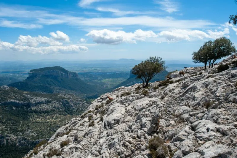 Hiking in Mallorca from Palma: Best Trails, Maps & How to Plan