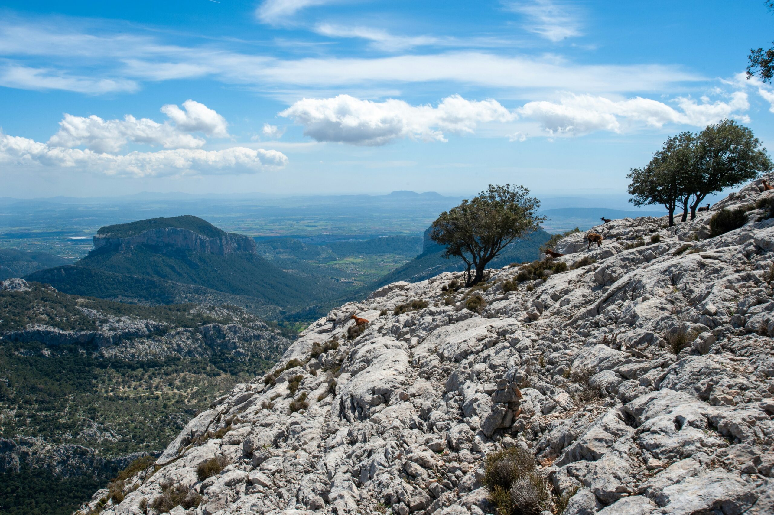 Hiking in Mallorca from Palma: Best Trails, Maps & How to Plan