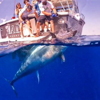 Deep Sea Fishing in Palma de Mallorca