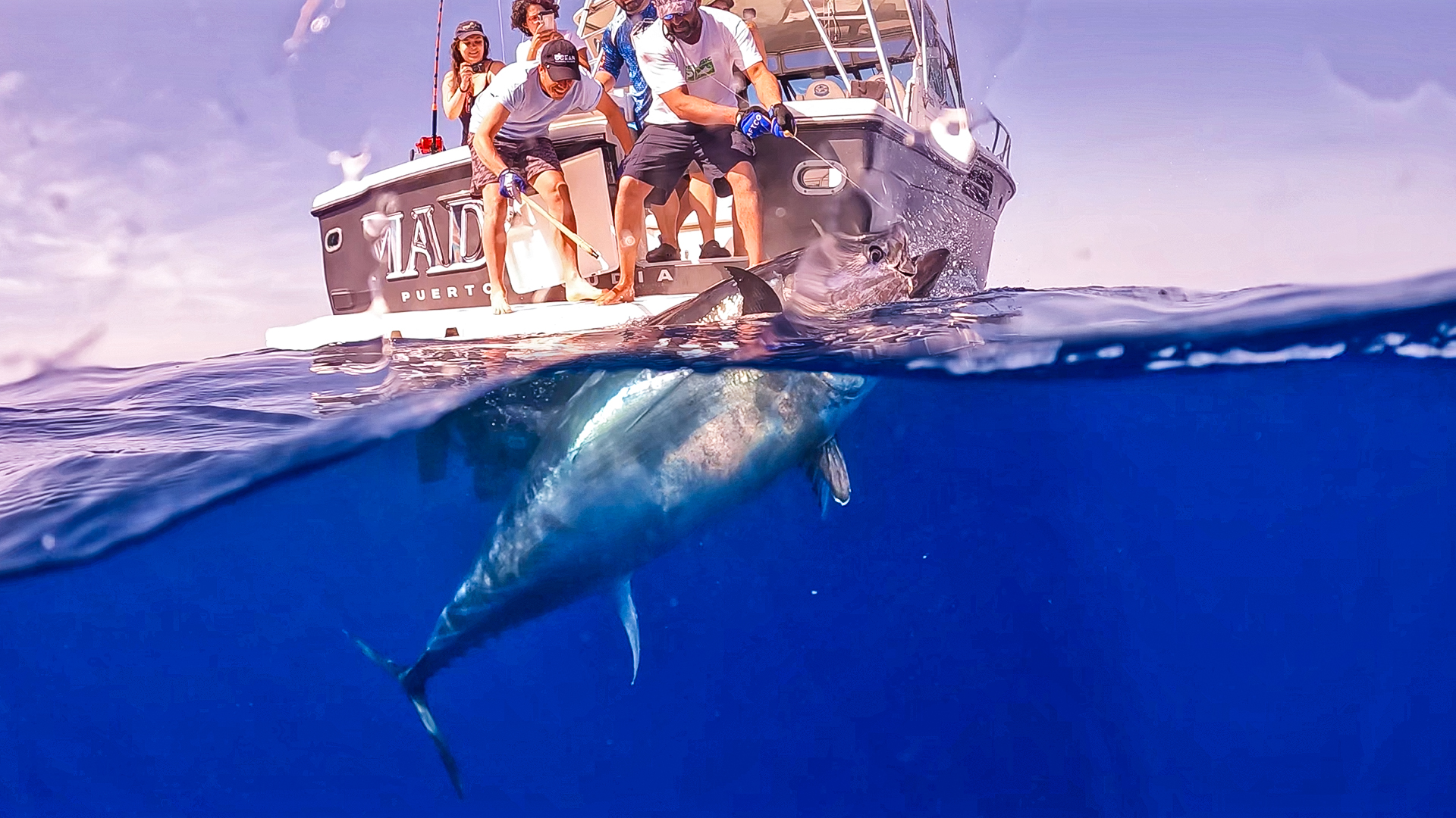 Mallorca Deep-Sea Fishing from Palma: Charters, Seasons & Prices