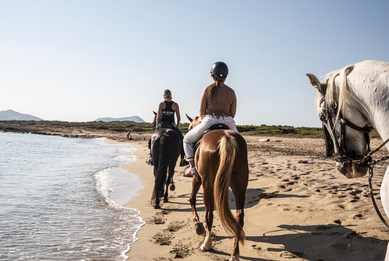 Horseback Riding in Mallorca: Trails, Prices & Practical Tips