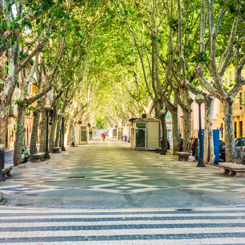 La Rambla Palma de Mallorca