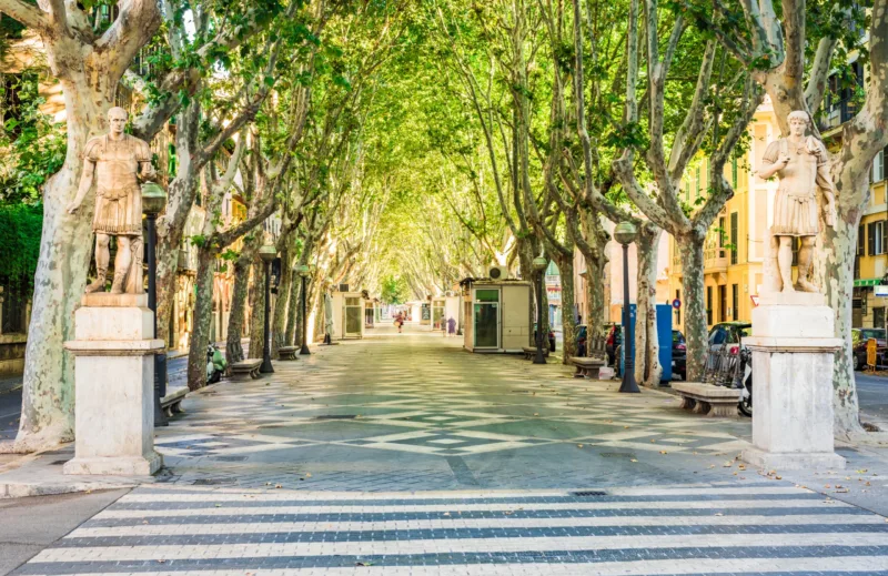 La Rambla, Palma – The Flower-Lined Heart of the City