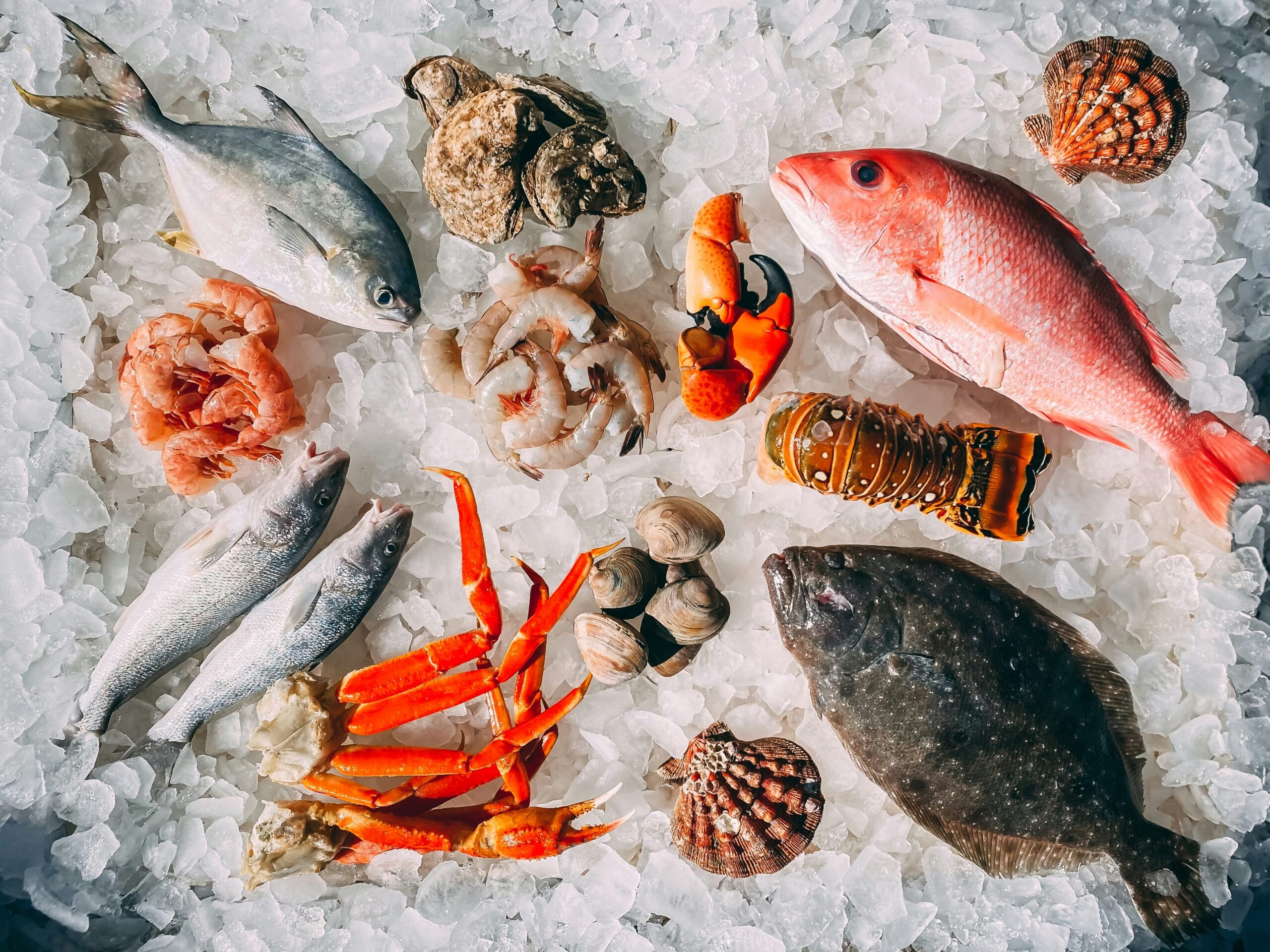 Mostra de la Llampuga: Cala Ratjada’s Celebration of the Sea