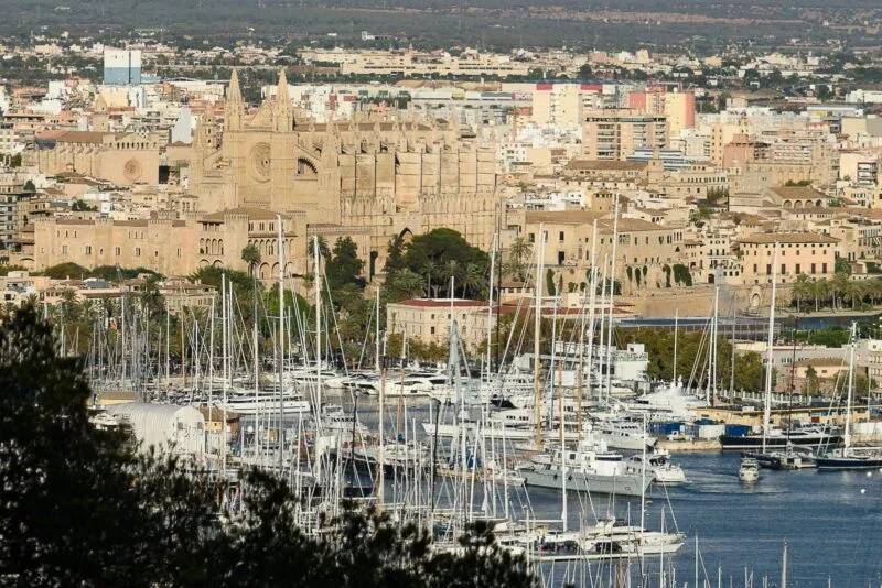 Moll Vell Palma – Marina by the Cathedral