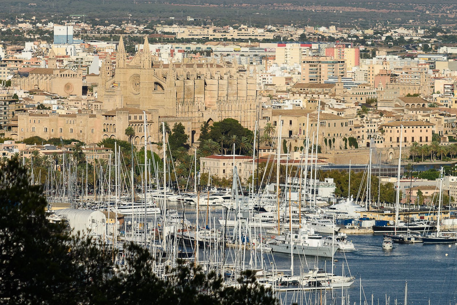 Moll Vell Palma – Marina by the Cathedral
