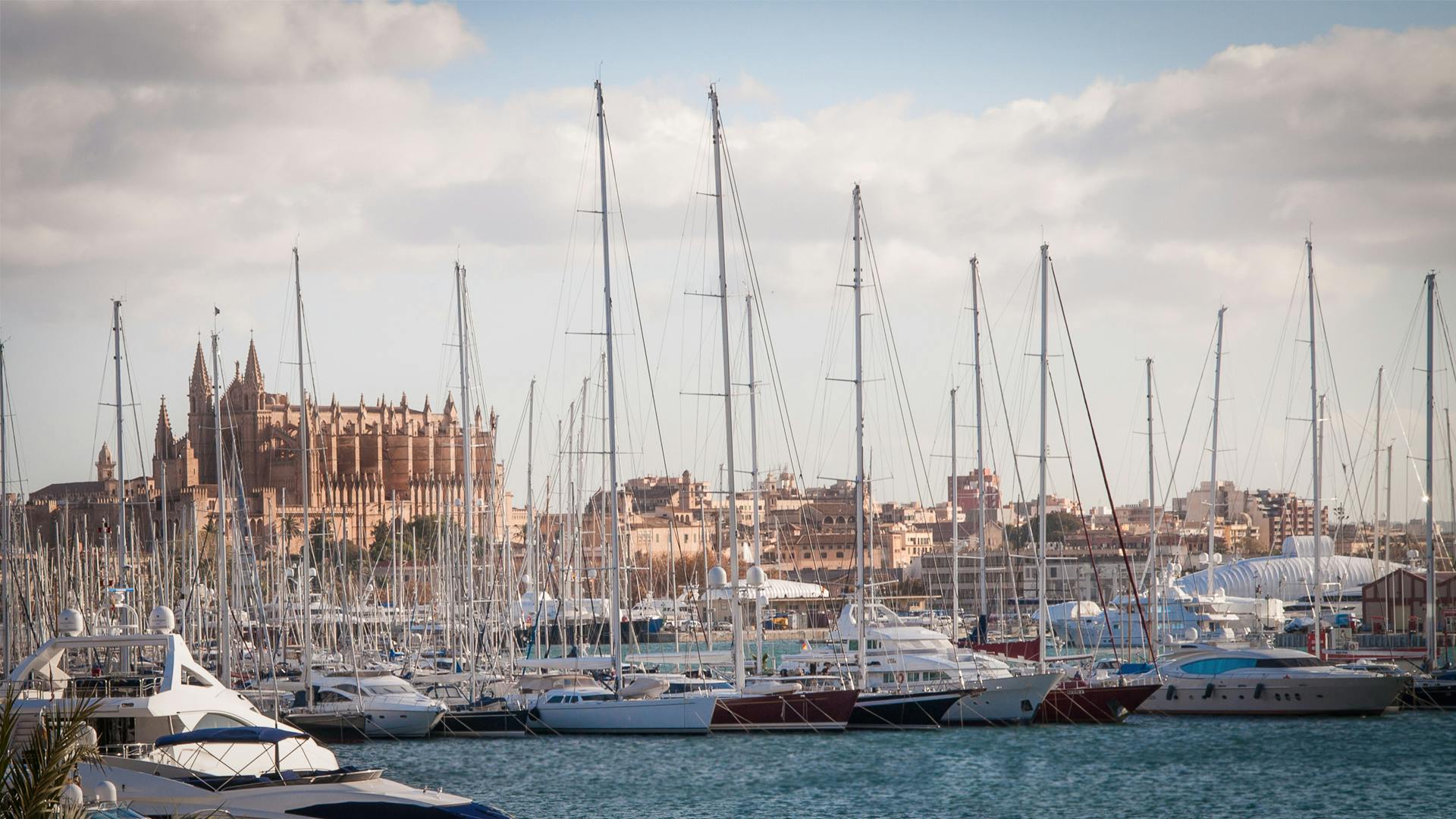Palma Marina: Where Palma Meets the Sea — Walks, Marinas, Dining & Stays