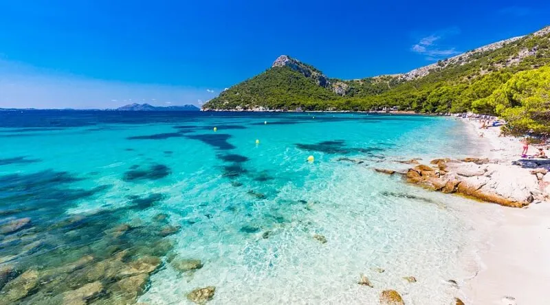 Beach Guide: Formentor Beach (Platja de Formentor)