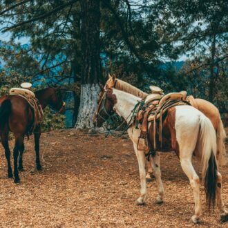 horse riding in mallorca