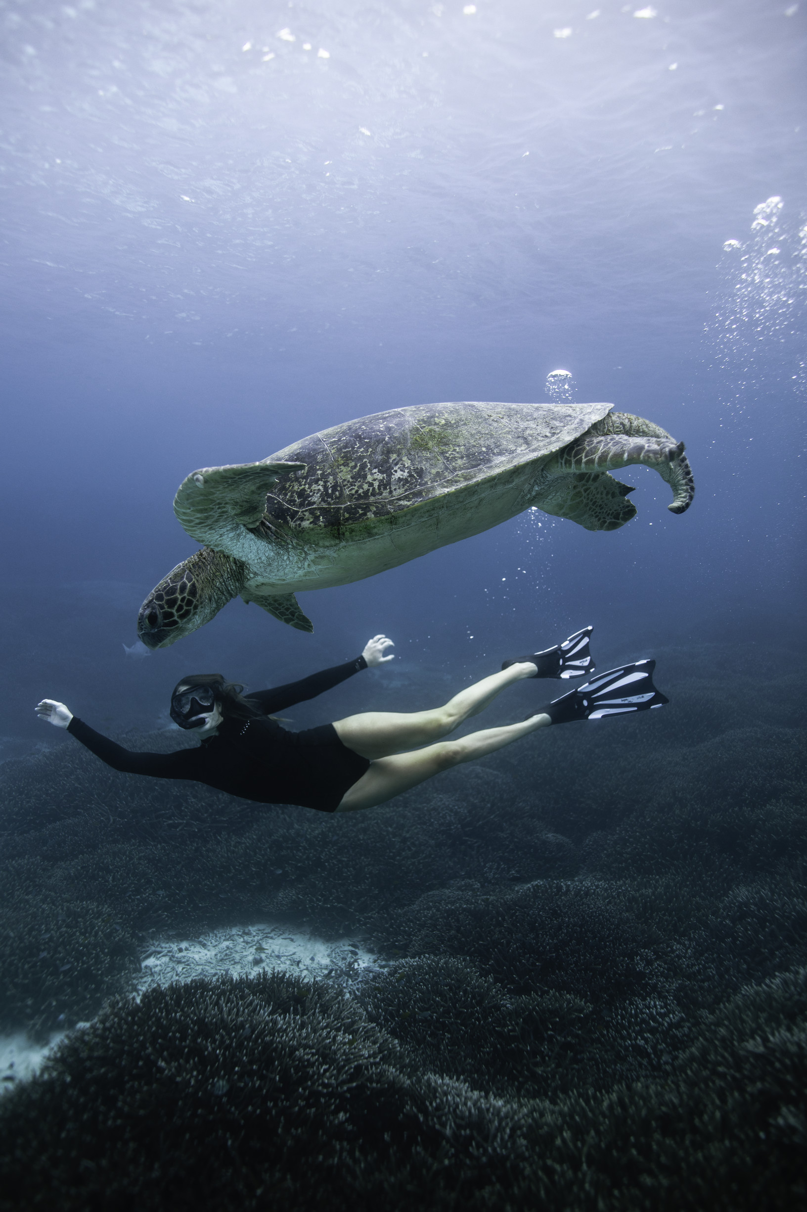 snorkelling in palma de mallorca