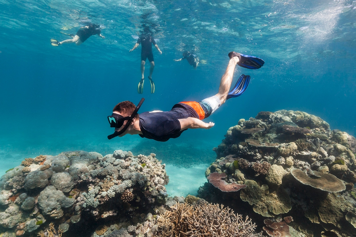 Palma Snorkelling: Quick, Clear & Close to the City