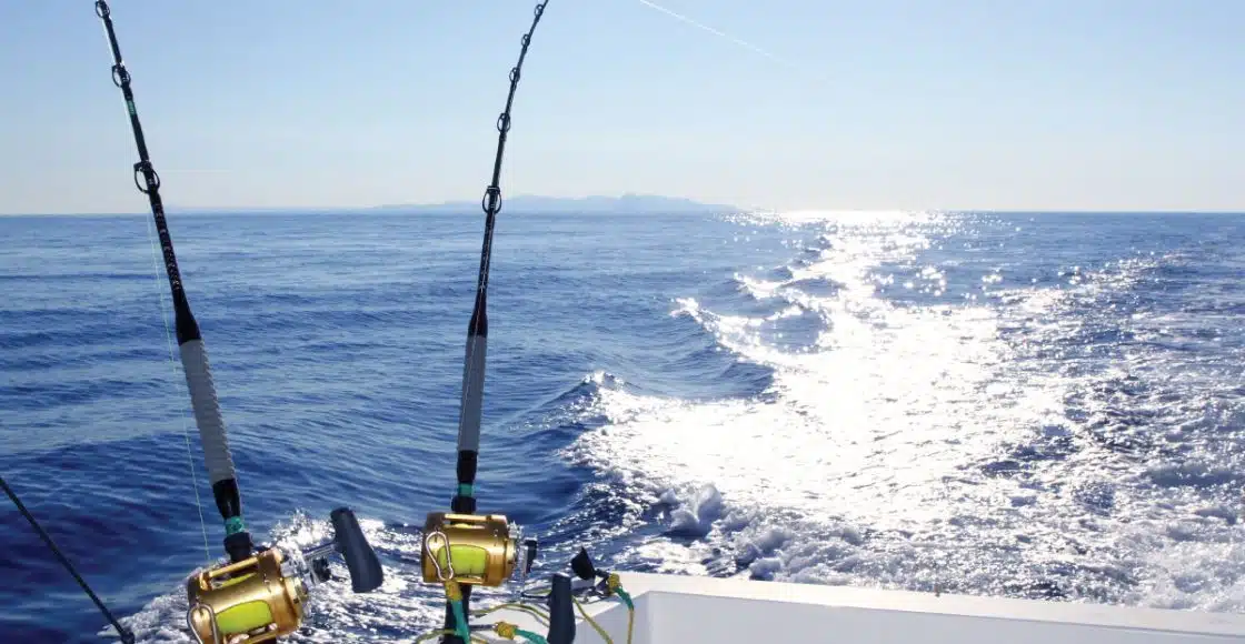 Deep sea Fishing in Palma de Mallorca