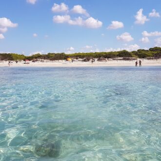 Arenal de Sa Ràpita beach