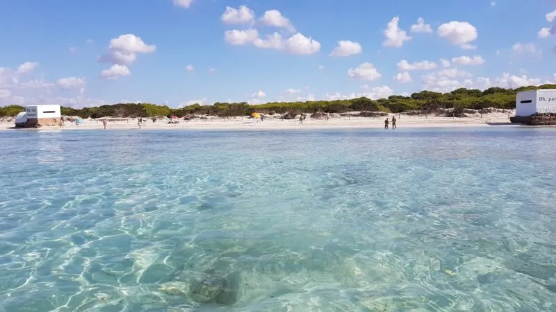 Beach Guide: Ses Covetes & Arenal de Sa Ràpita