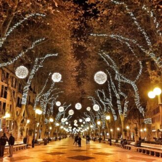 Palma’s Christmas lights switch-on