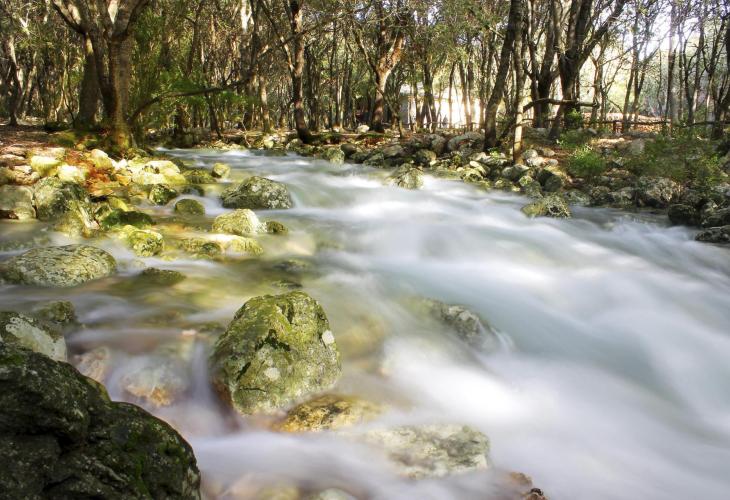 Fonts Ufanes Springs, Mallorca