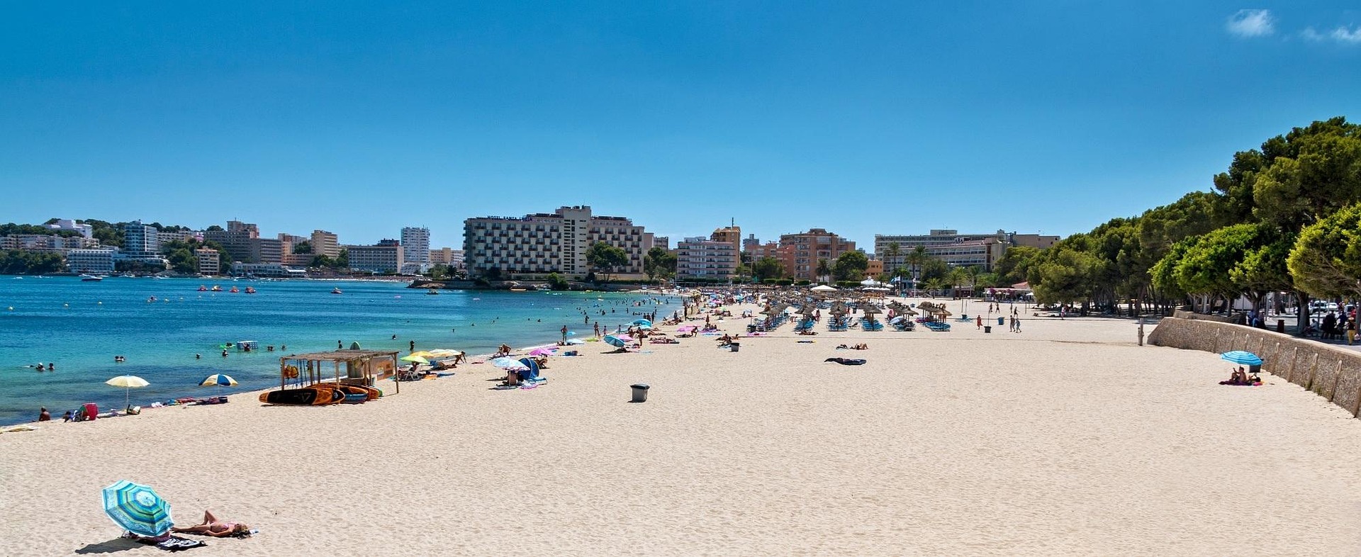 Beach Guide: Palmanova Beach (Es Carregador)