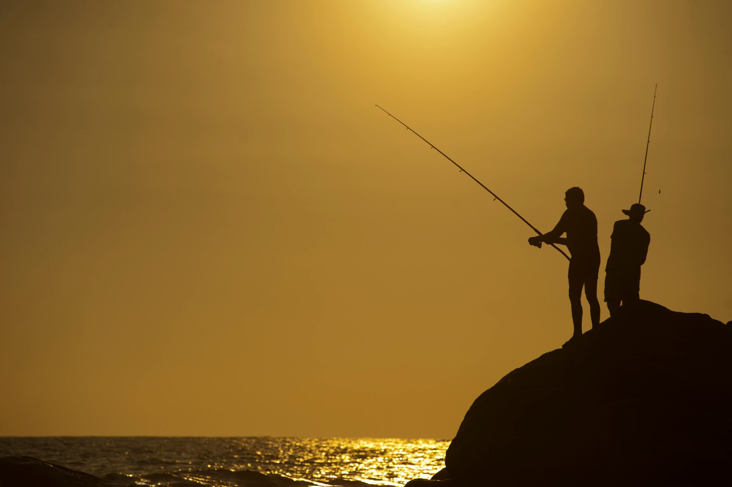 Mallorca Fishing Seasons: What Bites When